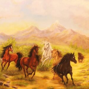 FREEDOM OF THE PLAIN