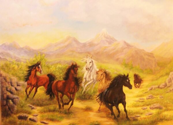 FREEDOM OF THE PLAIN